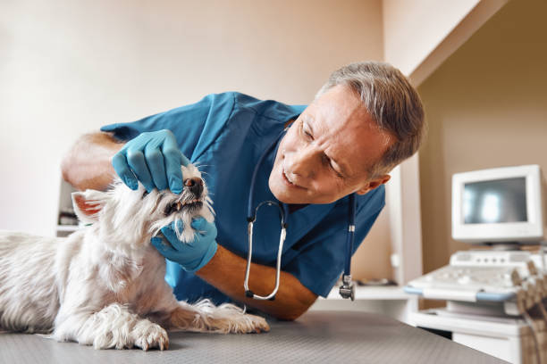 Best Emergency Treatment for Dental Infections or Abscesses in Hutchinson, KS